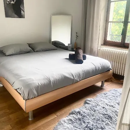 Chambre Double Vue Lac Montreux Centre-3